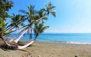 oceanfront luxury vacation rental