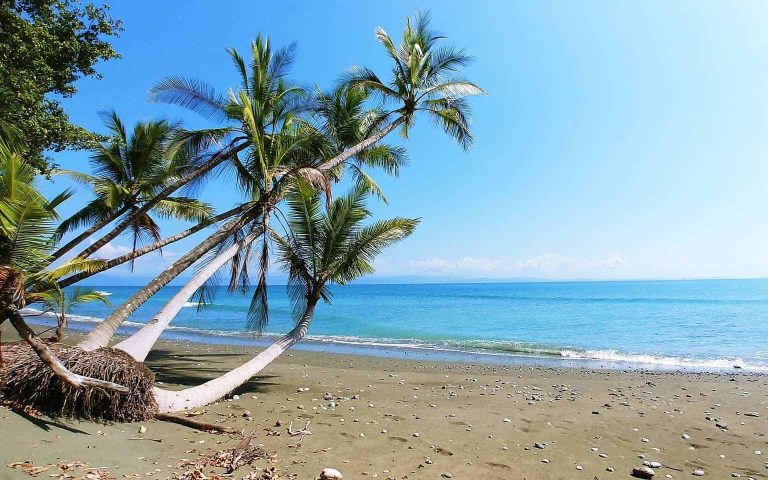 oceanfront luxury vacation rental