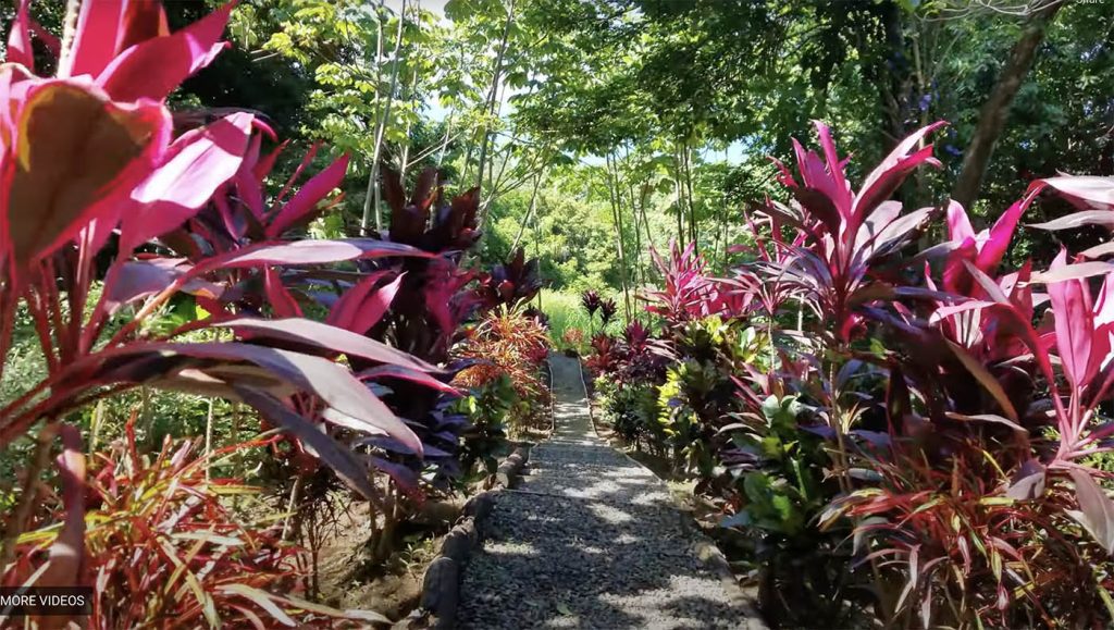Private Beach Trail