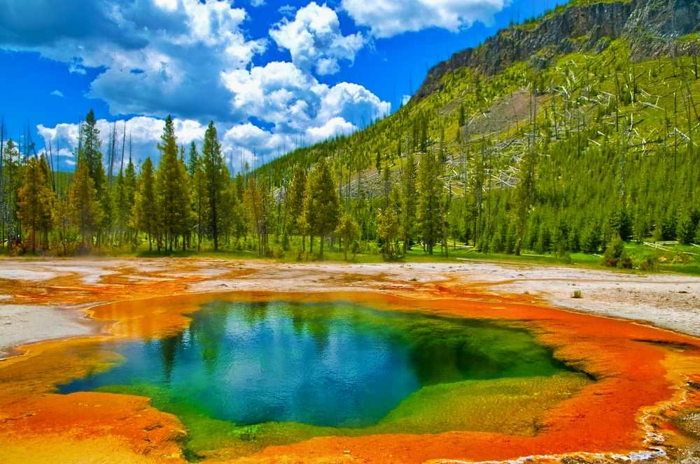 40th birthday trip ideas Yellowstone National Park