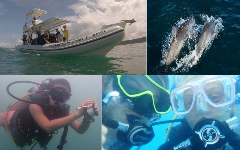 Scuba Diving Manuel Antonio Costa Rica