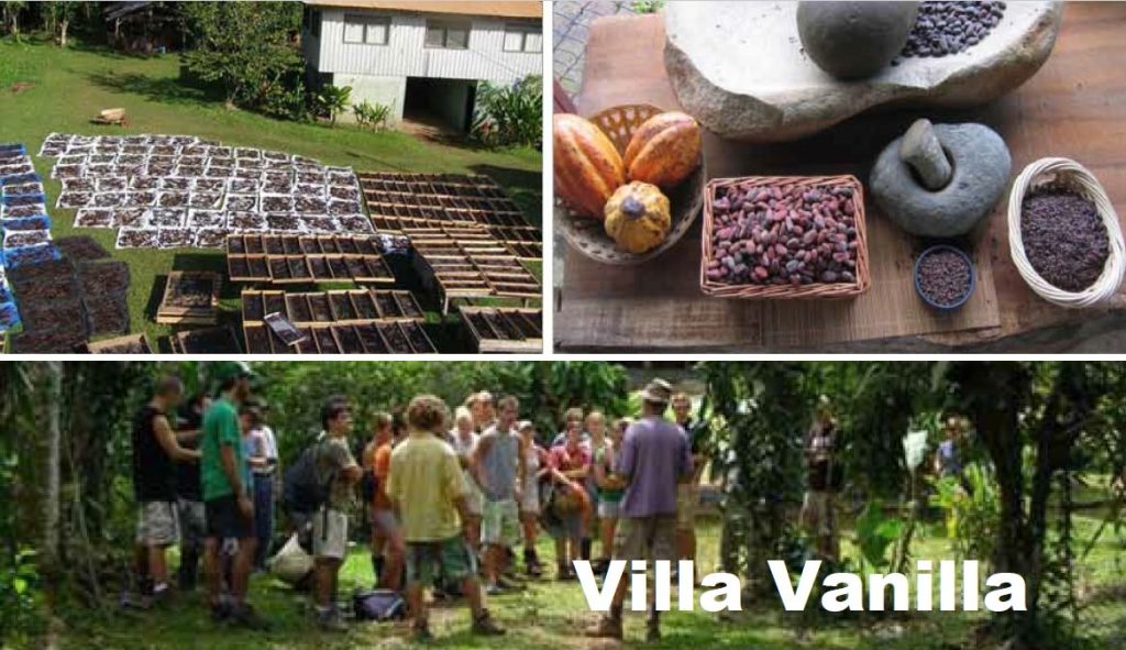 Villa Vanilla Manuel Antonio Costa Rica