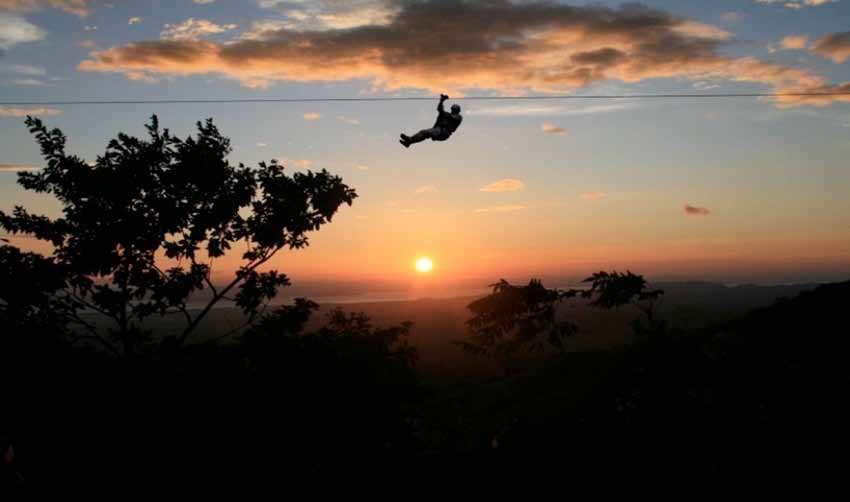 Titi Canopy Night Tour Manuel Antonio Costa Rica
