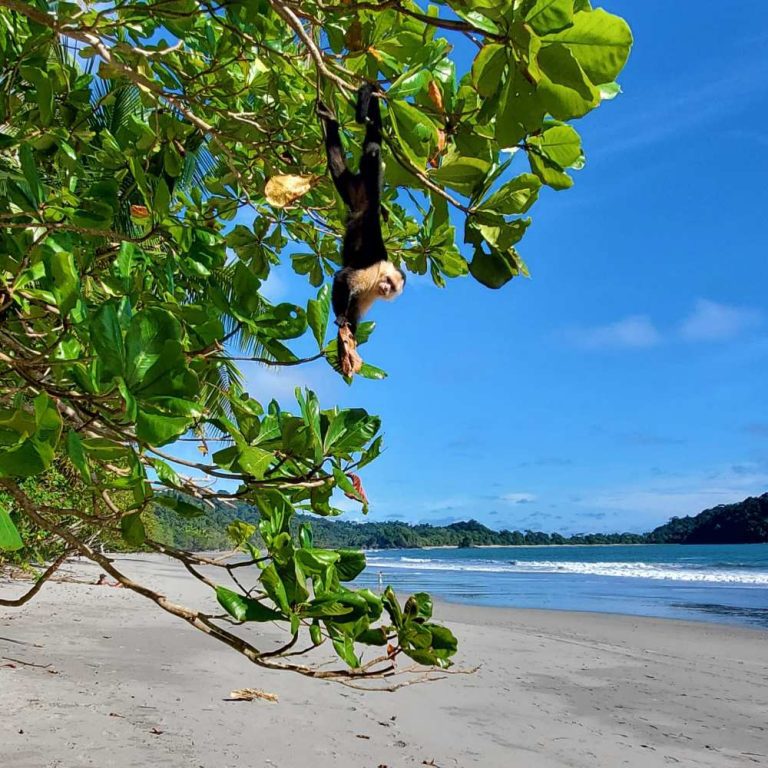 family airbnb manuel antonio