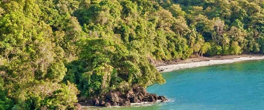 Playa La Macha in Manuel Antonio Beach