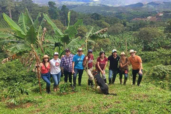 what is Costa Rica coffee
