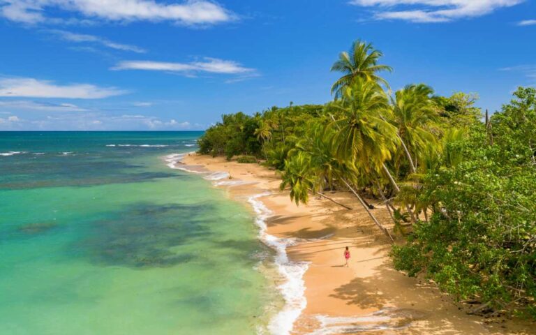 When is the Ideal Time to Visit Costa Rica