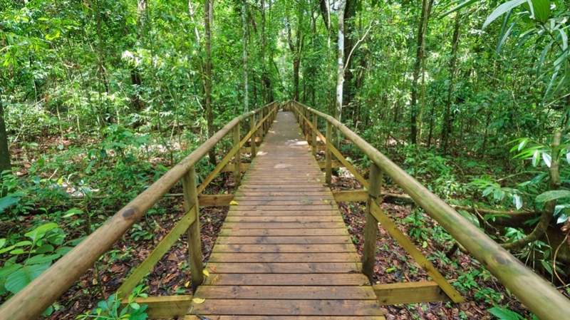 Manuel Antonio park hiking trails