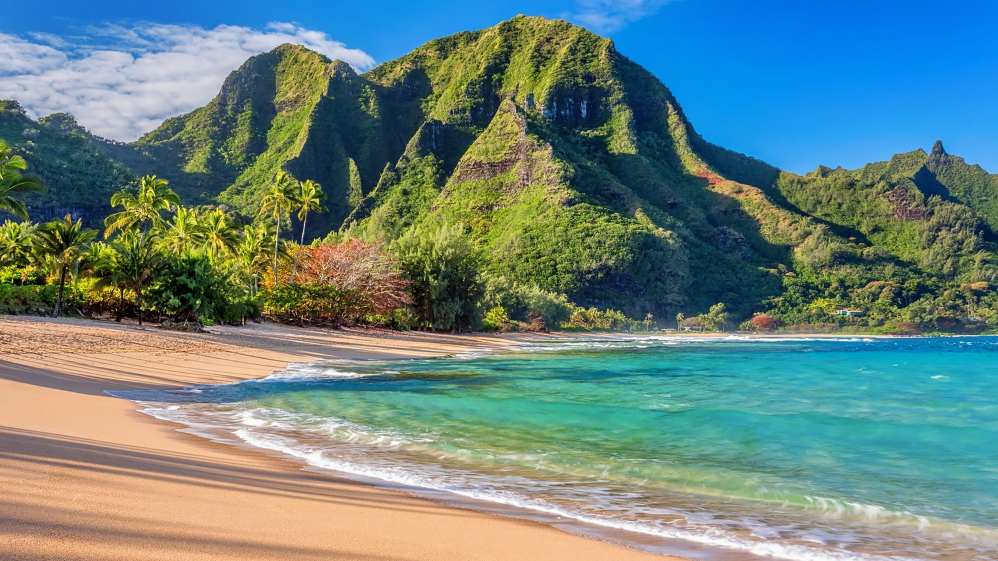A beach in Kauai