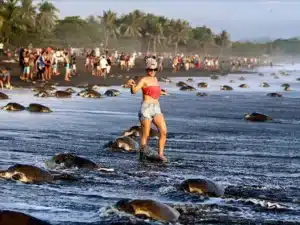 Tourist mistakes in Costa Rica