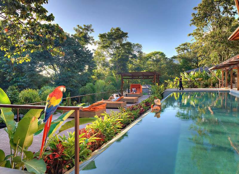 A guest enjoying a pool at the adults only Nayara Springs Resort