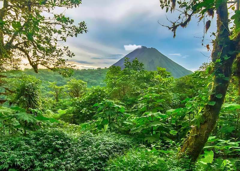 Arenal Volcano National Park nature reserve rainforest in Costa Rica