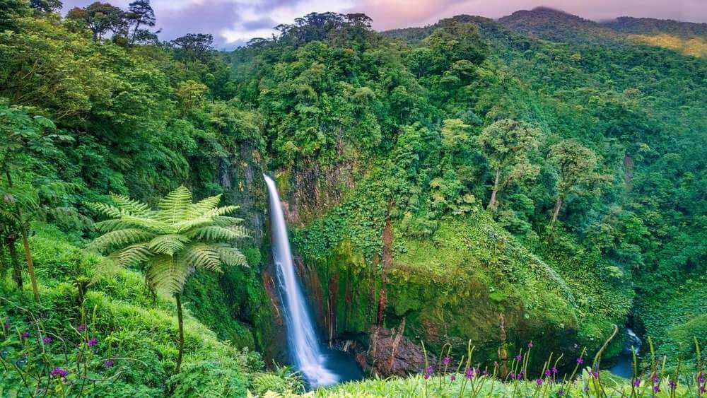 Del Toro waterfall - Costa Rica rainforest