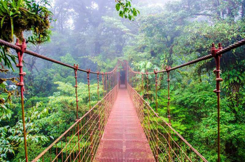 one of many Hanging bridges at Monteverde Cloud Forest Reserve