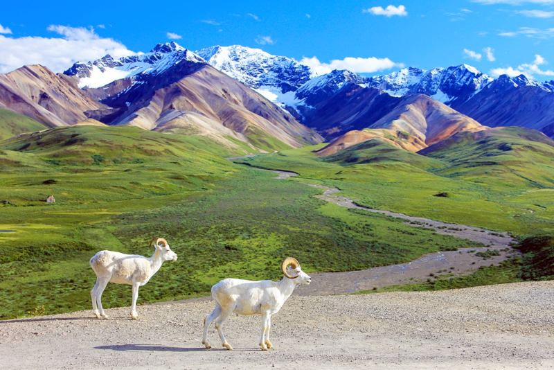Denali National Park, Alaska hiking with amazing views