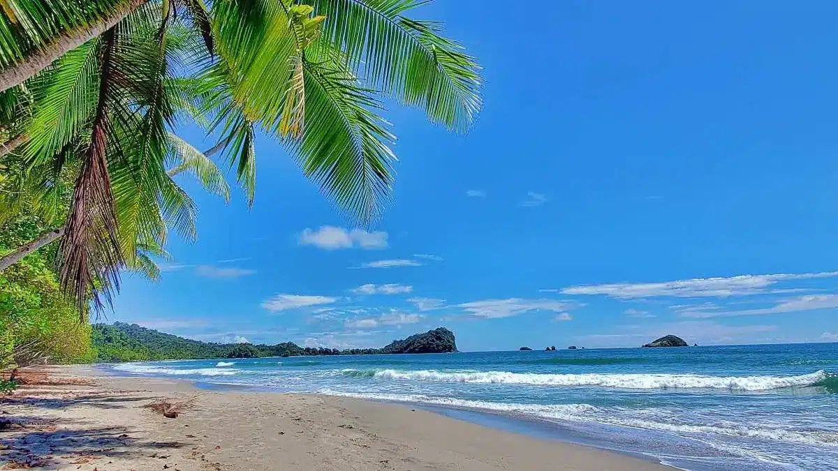 playa espadilla beach manuel antonio costa rica with palm trees, blue skies, and gentle ocean waves